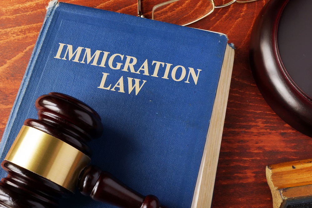 The Immigration Law